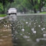 افزایش چشمگیر میانگین بارش در سامانه بارشی اخیر/۵۰ میلیمتر باران به میانگین بارش فارس اضافه شد