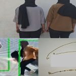 دستگیری سارقان طلای آرایشگر با ردیابی خودرو در فسا